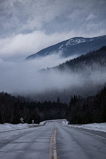 Nature, Trees, Road, Markup, Fog, Hills HD phone wallpaper