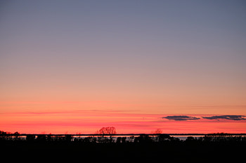 Nature, Trees, Twilight, Horizon, Dark, Dusk, Evening HD wallpaper