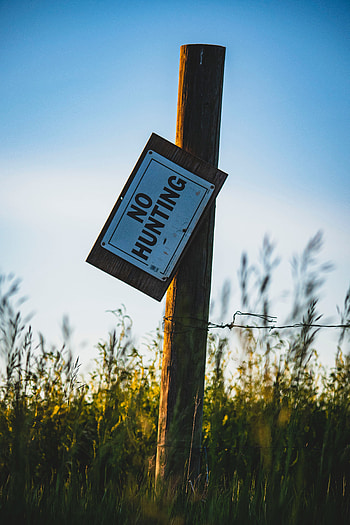 Grass, Words, Inscription, Nameplate, Plate, Pillar, Post, Sign HD phone wallpaper