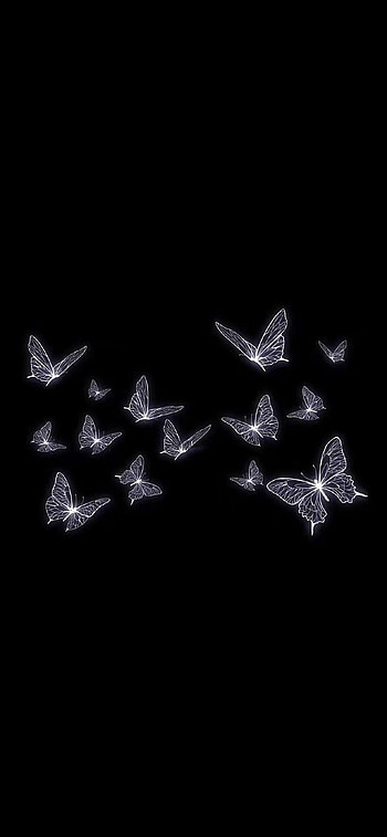 Butterfly, black, minimalist HD phone wallpaper