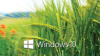 Laptop For Windows 10 HD wallpaper