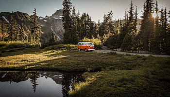 Nature, Cars, Car, Brown, Old, Van HD wallpaper