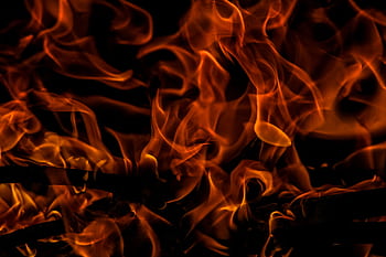 Close-up of vibrant flames creating a dramatic and intense warm glow. HD wallpaper