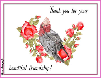 BEAUTIFUL FRIENDSHIP, FRIENDSHIP, BEAUTIFUL, COMMENT, CARD HD wallpaper