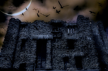 Horror, Scary, Halloween, Dark, Haunted, Creepy, Spooky HD wallpaper