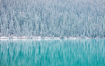 Pine trees, winter, reflections, blue lake HD wallpaper