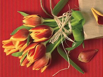 Flowers, Tulips, Petals, Bouquet, Paper, Rope HD wallpaper