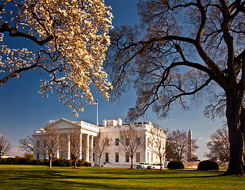 Washington Monument, White House HD wallpaper