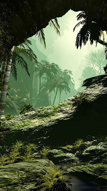 Jungle background beauty, Nature's tapestry, Leafy paradise, Serene hideaway HD phone wallpaper