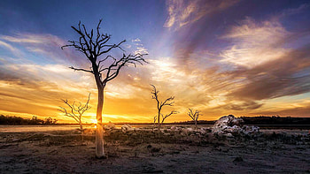 Queerearrup Lake, Western Australia, trees, clouds, landscape, sky, rocks, sunset, stones HD wallpaper