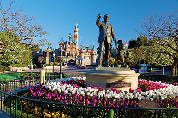 Anaheim hotel, Disneyland Resort HD wallpaper