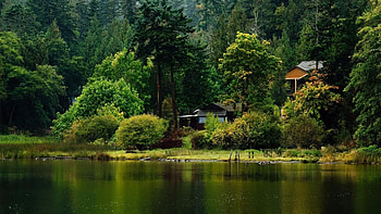 Riverside travels, Cabin nature, Green scenery sunset, Top cabin HD wallpaper