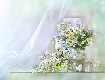 Lily of the valley, White, Lilac, Mirror, Forgot-me-nots HD wallpaper
