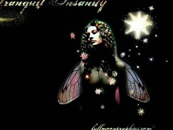 Tranquil Insanity, fairy, wings, faerie, winged, moon, stars, woman, female HD wallpaper