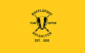 Hufflepuff Quidditch team, Harry Potter , Loyal players, House loyalty HD wallpaper