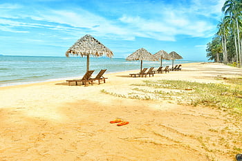 Idyllic tropical beach scene with empty lounge chairs under straw umbrellas on a sunny day. HD wallpaper