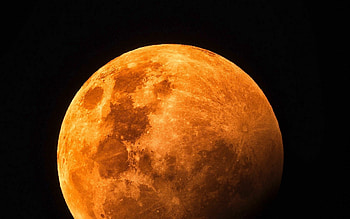 Radiant orange moon, Celestial enchantment, Mesmerizing glow, Night skies come alive HD wallpaper