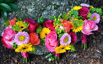 Flowers, Roses, Bouquets, Gerberas, Rock, Registration, Typography, Stone, Three, Asters HD wallpaper
