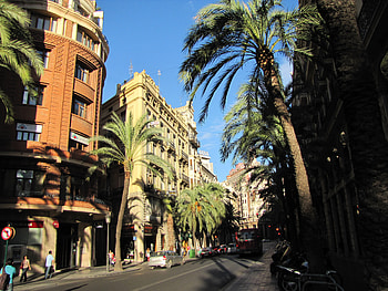Landscape, Cities, Palms HD wallpaper