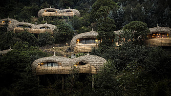 Rwanda travels, Volcanoes National Park, Bisate Lodge, Wildlife safari HD wallpaper