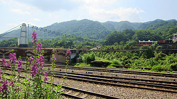 Railway and suspension bridge, Railway, flower, suspension bridge, travel, mountain HD wallpaper