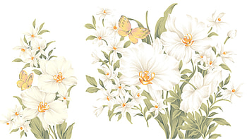 Paler Than Pale 2, butterflies, simple, light, firefox persona, ivory, flowers HD wallpaper