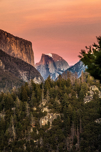 Nature, Trees, Mountains, Vertex, Top, Slopes HD phone wallpaper