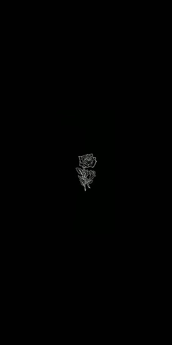 Gül, çiçek, siyah HD phone wallpaper
