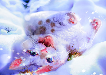 Nova in the snow, charline k, winter, flutti, white, frumusete, cute, cat, pink, pisici, fantasy, snow, iarna, luminos HD wallpaper