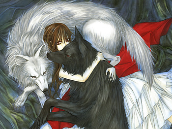 Anime, Vampire Knight, Yuki Cross, Yuki Kuran HD wallpaper