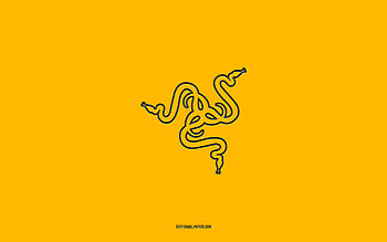 Razer logo, , yellow gradient background, Razer carbon logo, yellow background, Razer, Razer emblem HD wallpaper