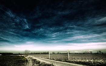 Landscape, Fields HD wallpaper