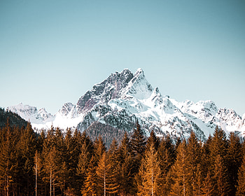 Nature, Trees, Mountain, Vertex, Top, Forest, Snow Covered, Snowbound HD wallpaper
