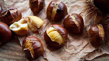 Bite-sized facts, Chestnut trivia, BBC Radio 4, Interesting information HD wallpaper