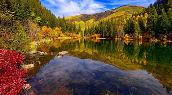 Autumn in Colorado, hills, fall, colors, beautiful, serenity, tranquil, mountain, lake, reflection, trees, autumn, forest, Colorado HD wallpaper