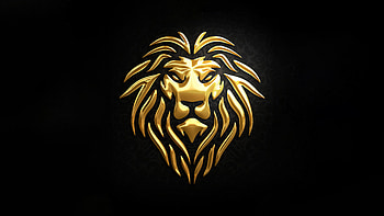 Gold Lion, lion, artist, artwork, digital-art, artstation HD wallpaper
