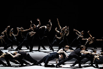 The Australian Ballet, Contemporary Dance HD wallpaper