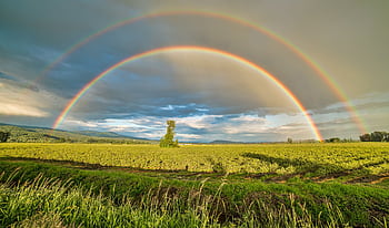 Stunning double rainbow arches over vibrant farmland in Pitt Meadows, BC, Canada. HD wallpaper