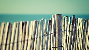 Miscellanea, Miscellaneous, Wood, Wooden, Fence, Plexus HD wallpaper