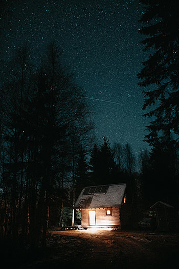 Trees, Night, Dark, Shine, Light, Starry Sky, House, Darkness HD phone wallpaper