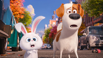The Secret Life of Pets (2022) movie HD wallpaper