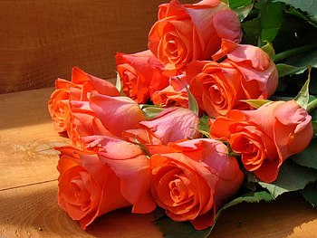 Flowers, Roses, Beauty, Bouquet, Bench HD wallpaper