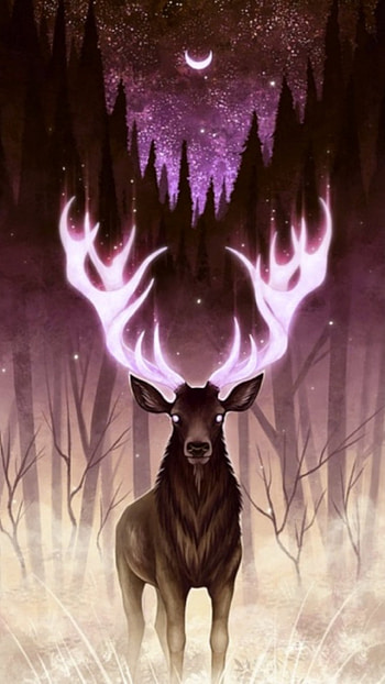 Night Deer 2, Galaxy, moon, glowing, buck, stars HD phone wallpaper