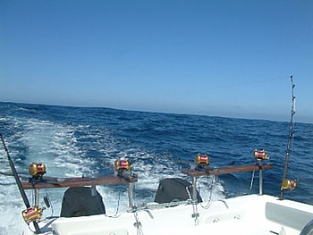 Big Ocean Fishing, rods, boat, reels, big sea HD wallpaper