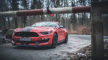 Ford Mustang Shelby GT350 Red Stripes , ford-mustang, ford, cars HD wallpaper