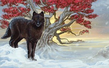 ON THE LOOK OUT, WITH, BEAUTIFUL, SCENIC, SNOW HD wallpaper