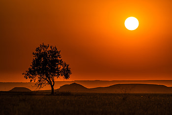 Landscape, Nature, Sunset, Horizon, Wood, Tree, Hills HD wallpaper