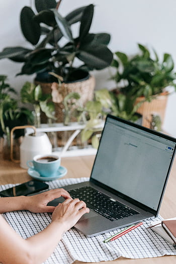 Aesthetic home workspace featuring a laptop, coffee, and lush indoor plants. HD phone wallpaper