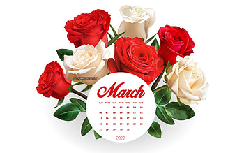 2022 March Calendar, , bouquet of roses, red roses, white roses, 2022 spring calendars, March 2022 Calendar, 2022 concepts HD wallpaper