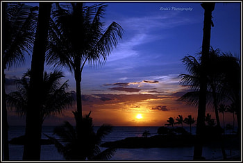 sunset beach, palms, blue, sky, nature, sunset, beach HD wallpaper